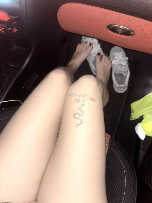 Let me be your passenger princess :3