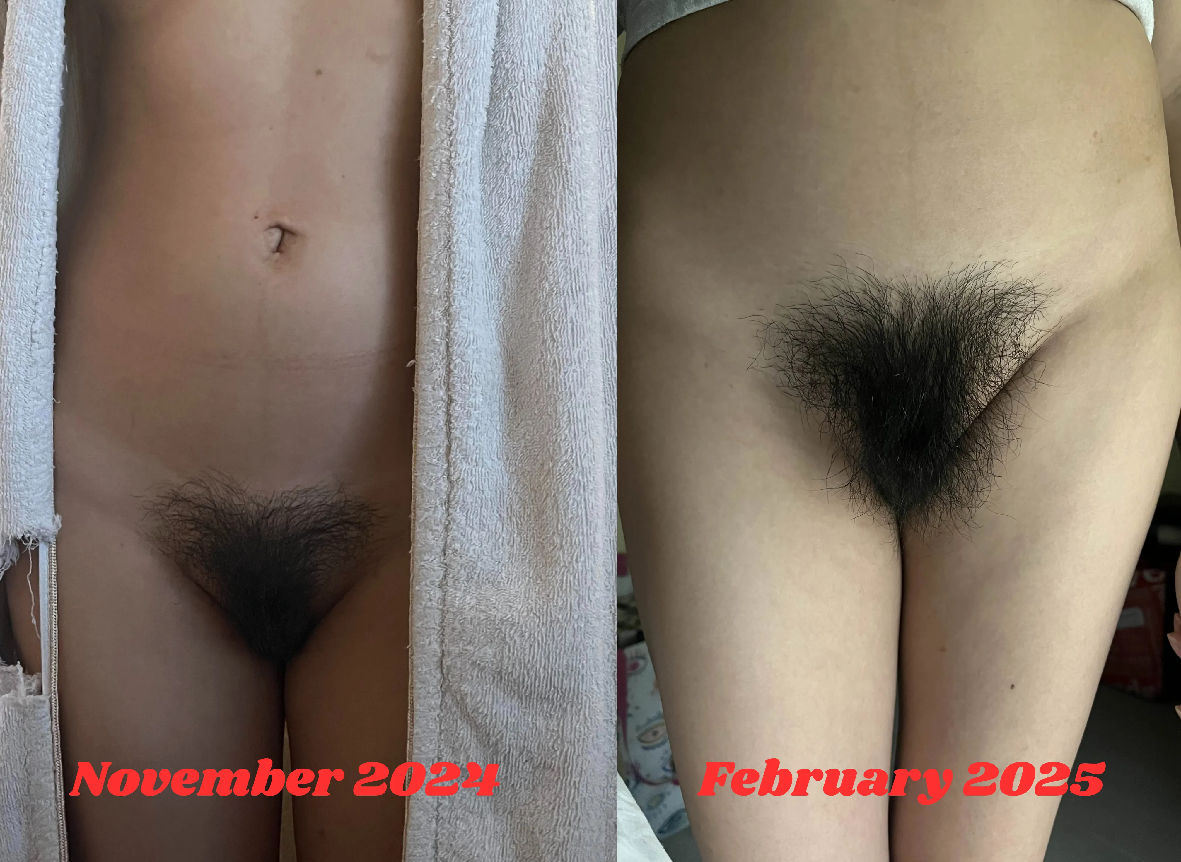 My Growth Timeline🌱