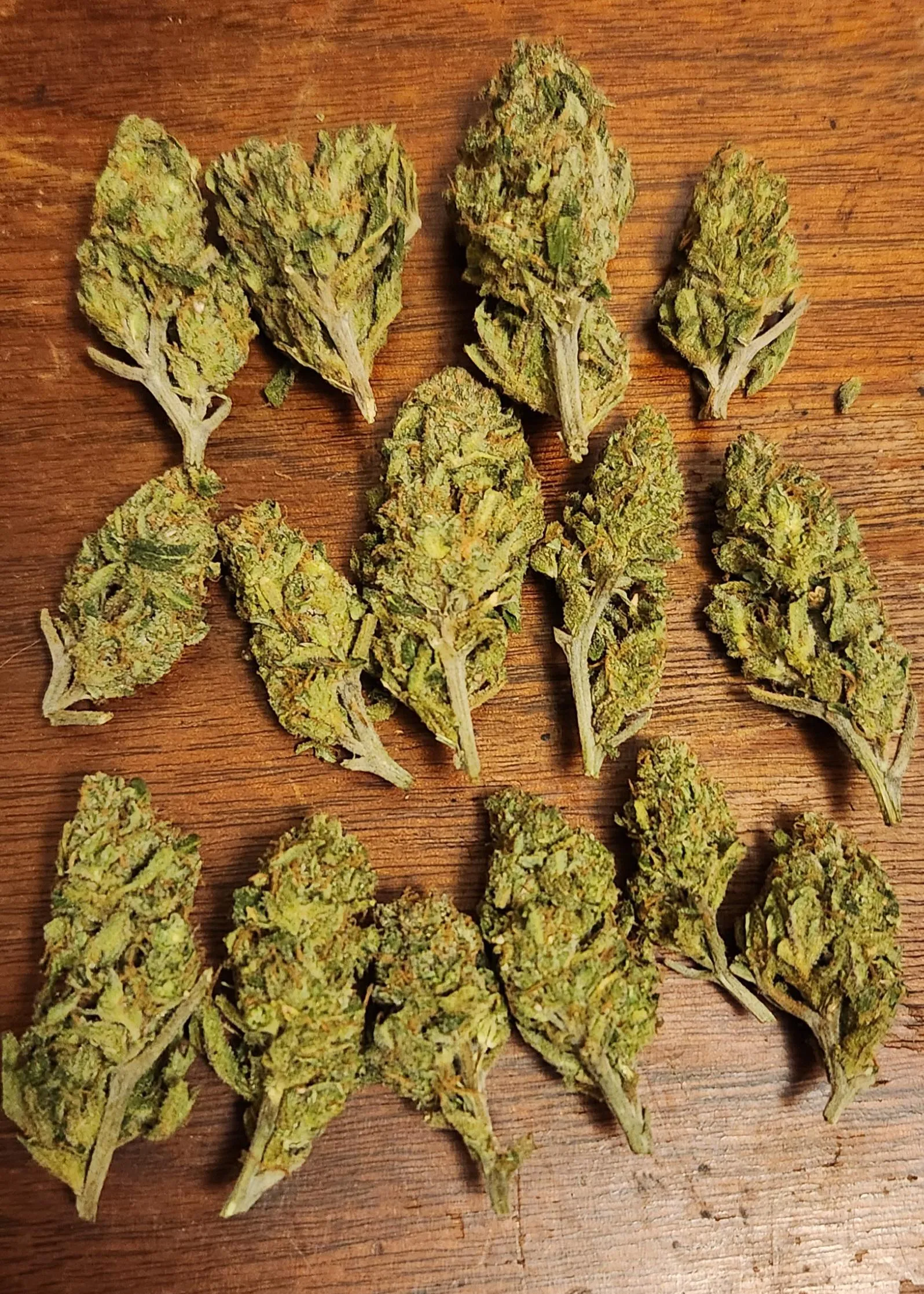 SHM Blue Dream (greenhouse) is NOT the one.