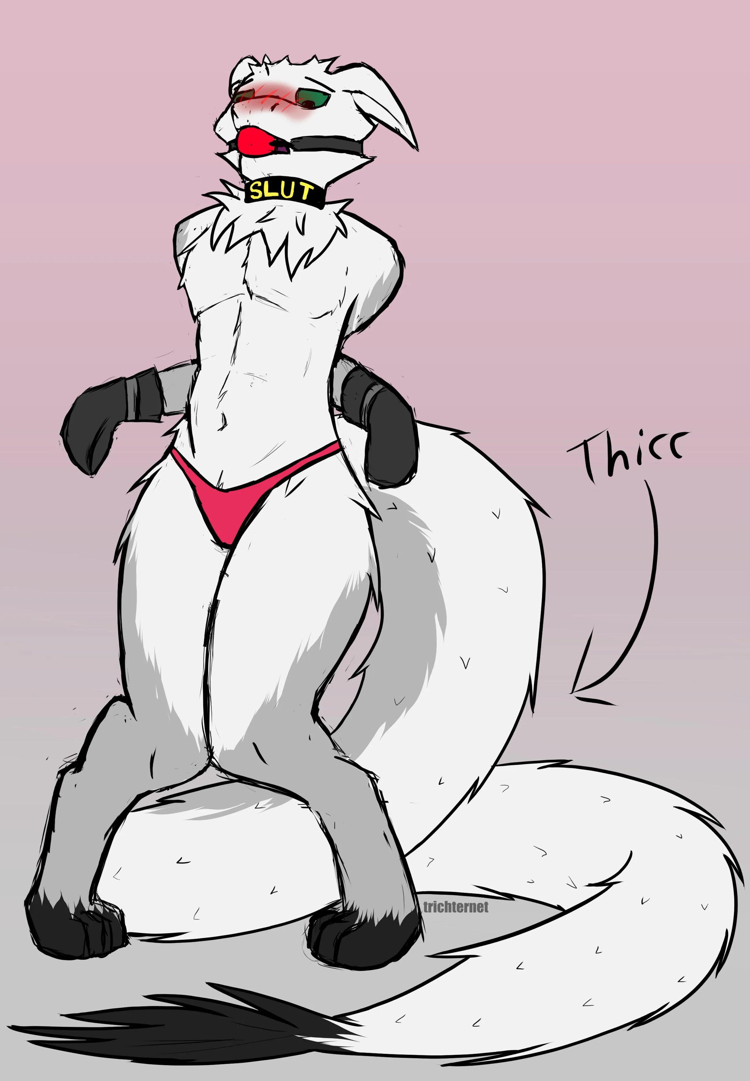 Thicc tail hours [I] (TrichterNet)