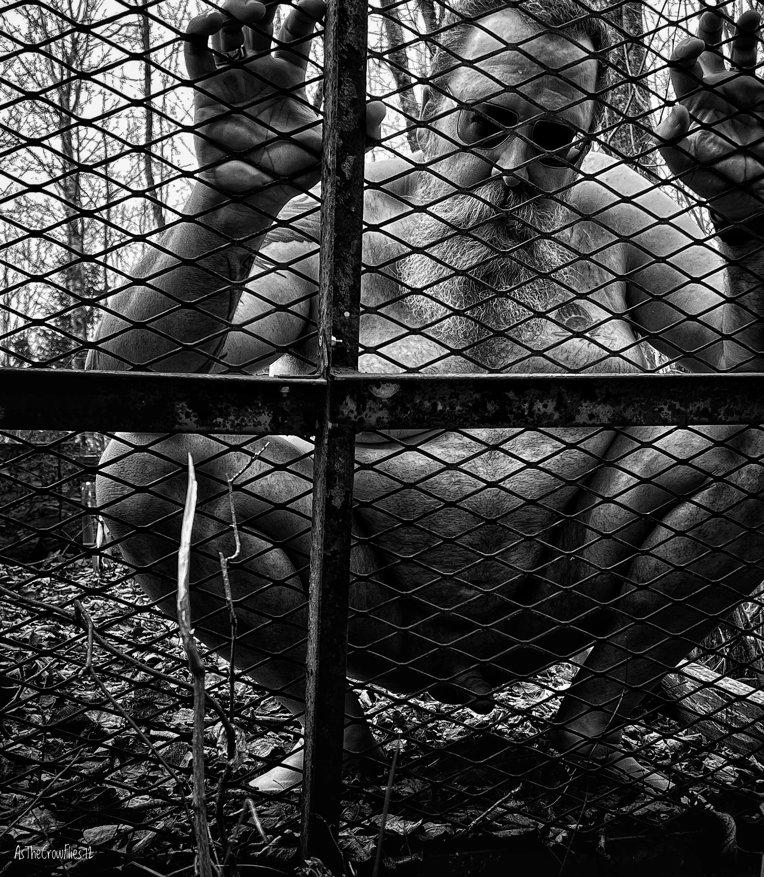 Looking through the mesh