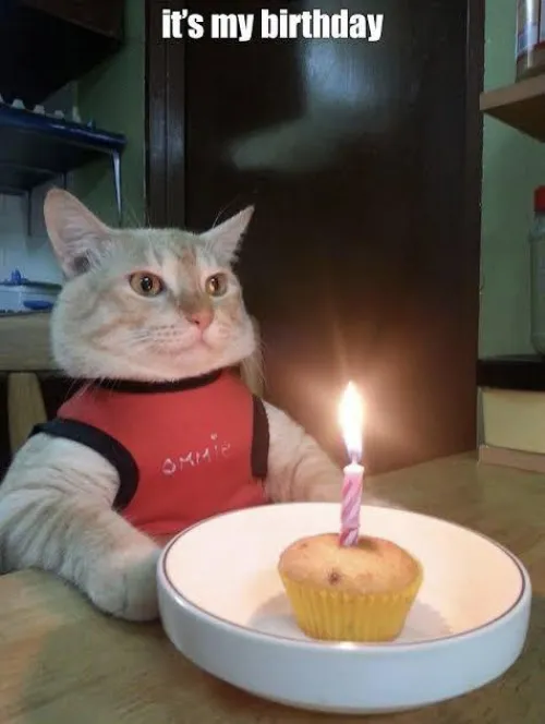 Our head[M]od's birthday today... happy birthday to me u/nooky75