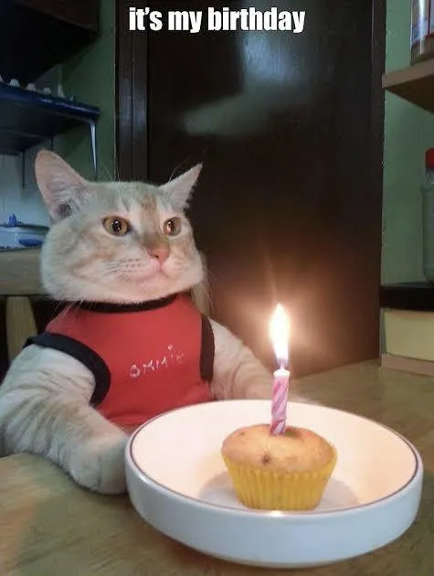 Our head[M]od's birthday today... happy birthday to me u/nooky75