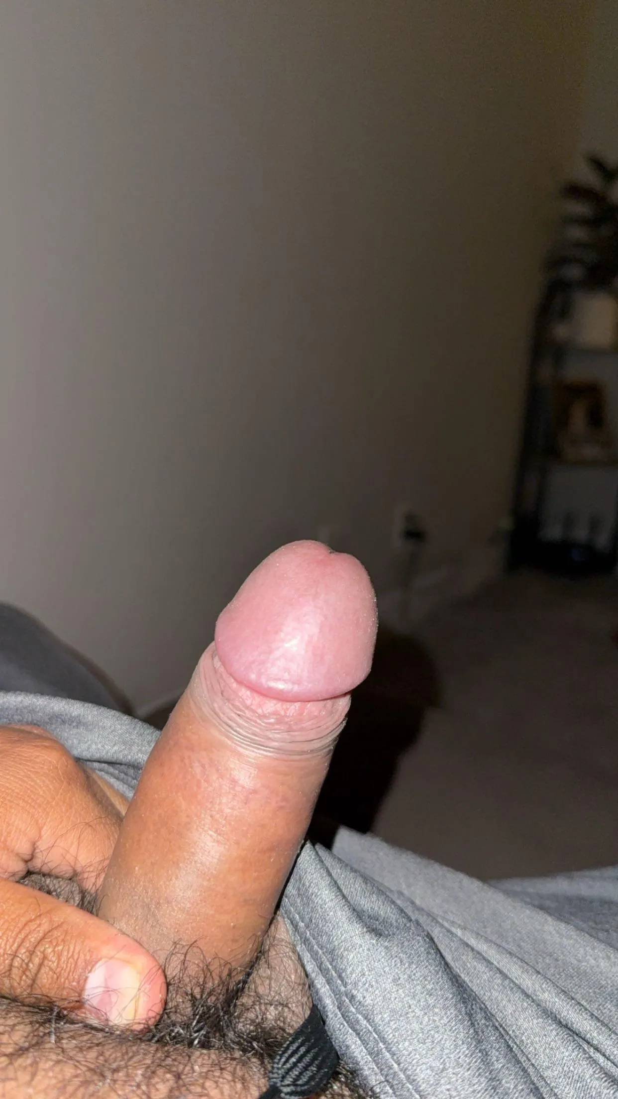 Where them thick curvy girls