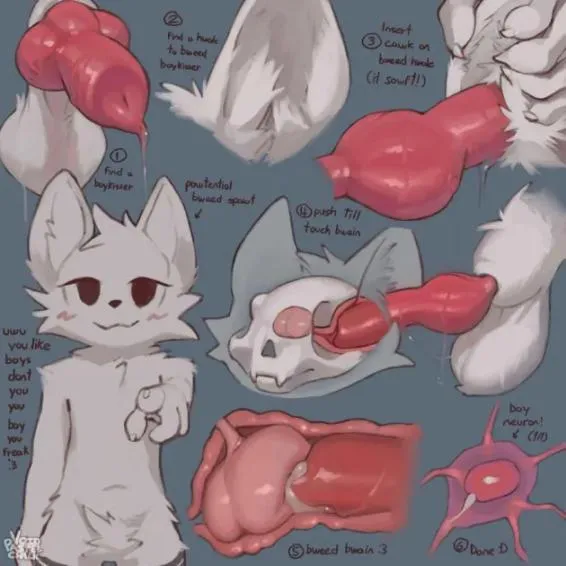 Moderately silly boykisser activity