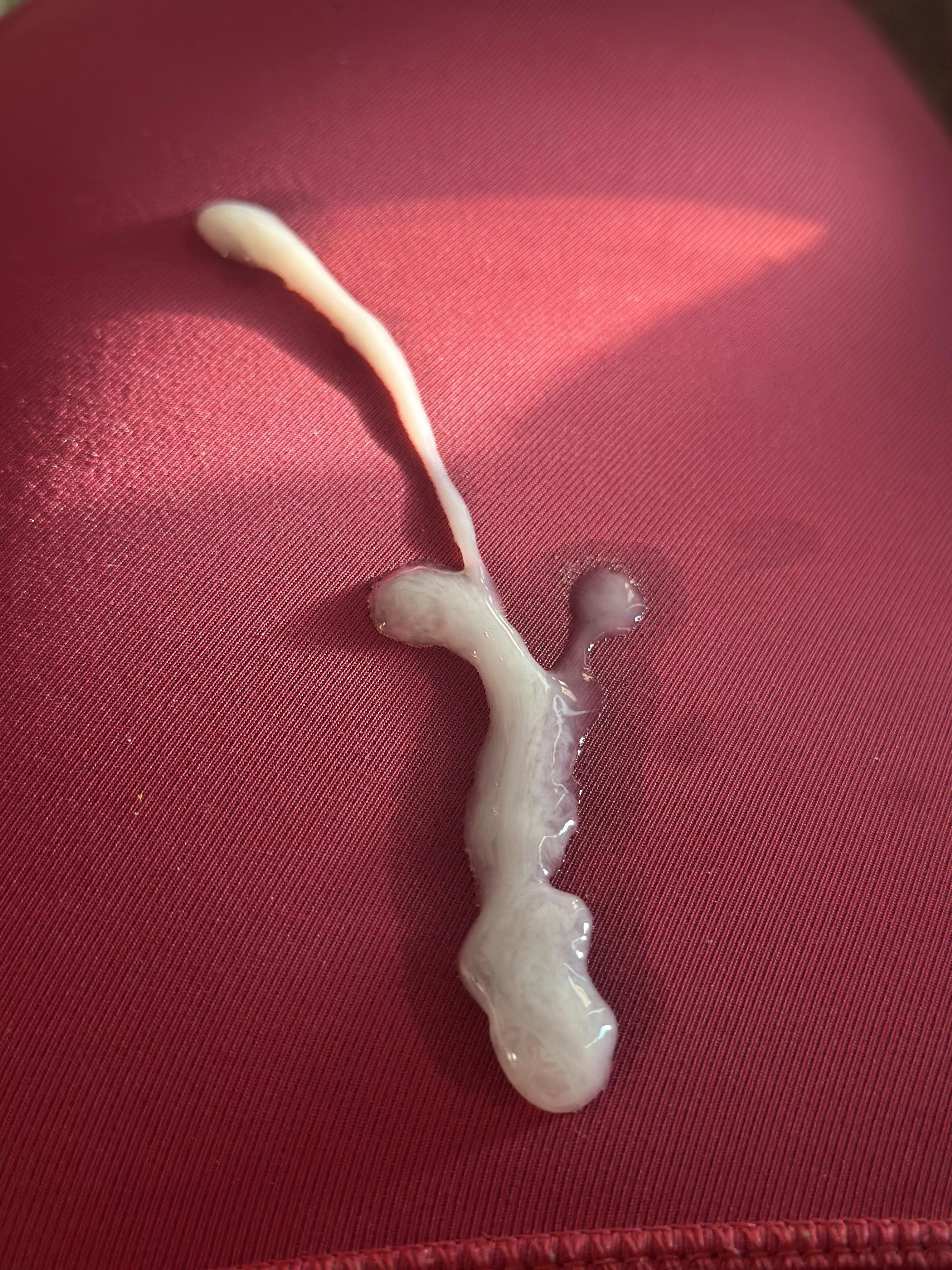 Got some cum on my leggings