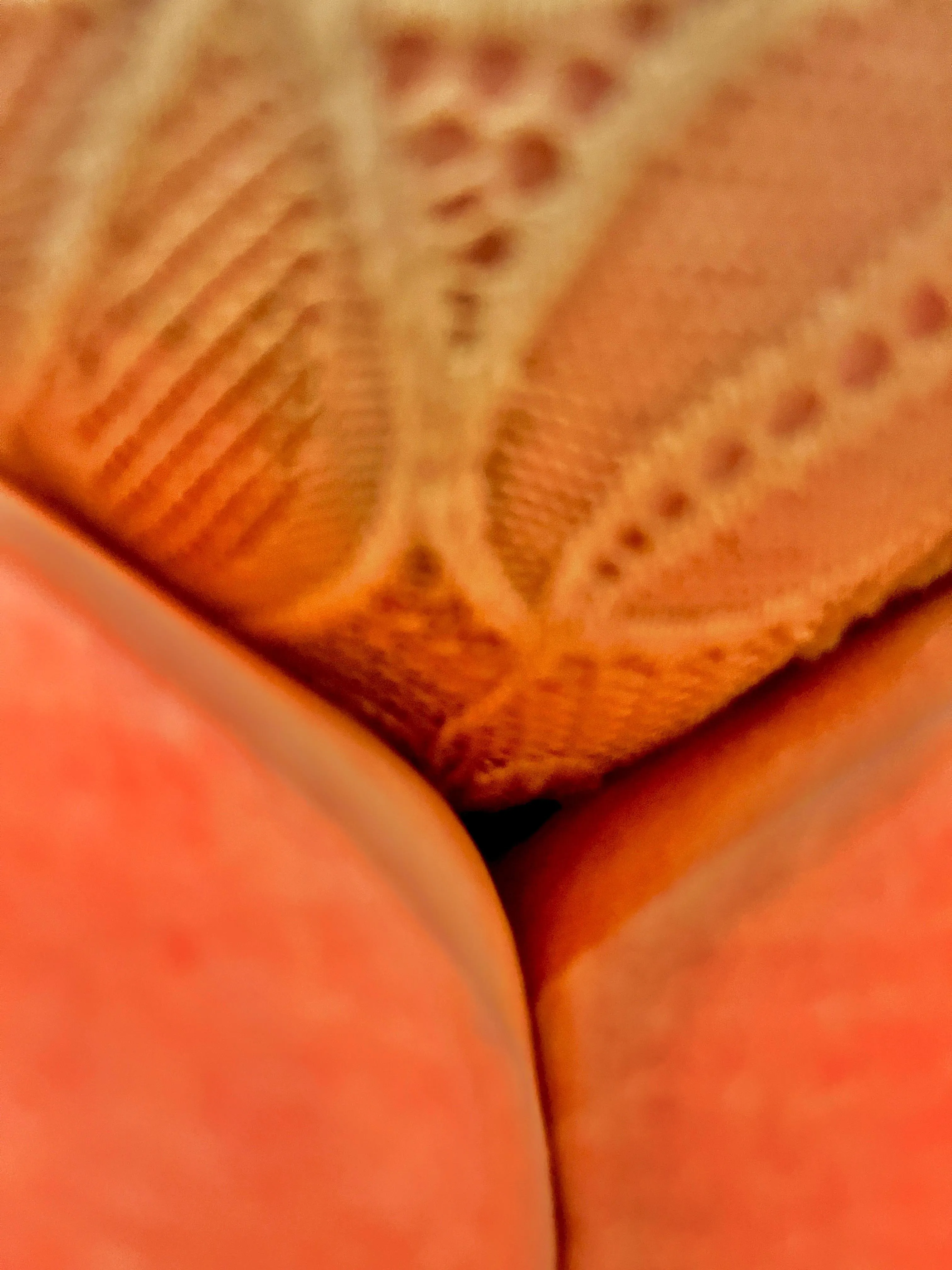 Post your pussy one time and the perverts come out