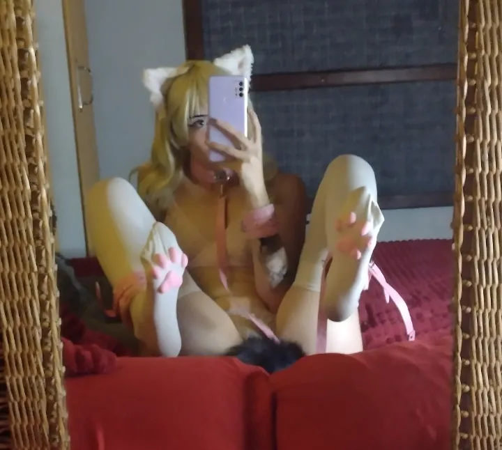 please pet me meow meow