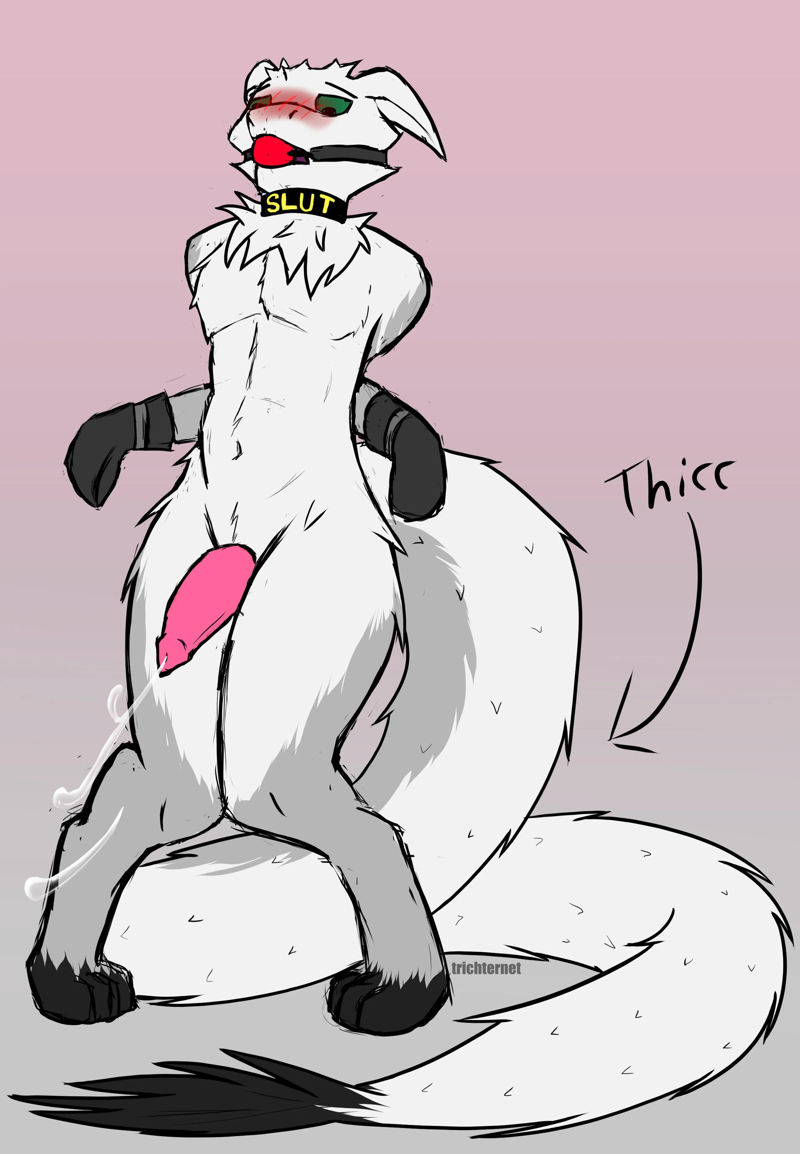 Thicc tail hours [I] (TrichterNet)