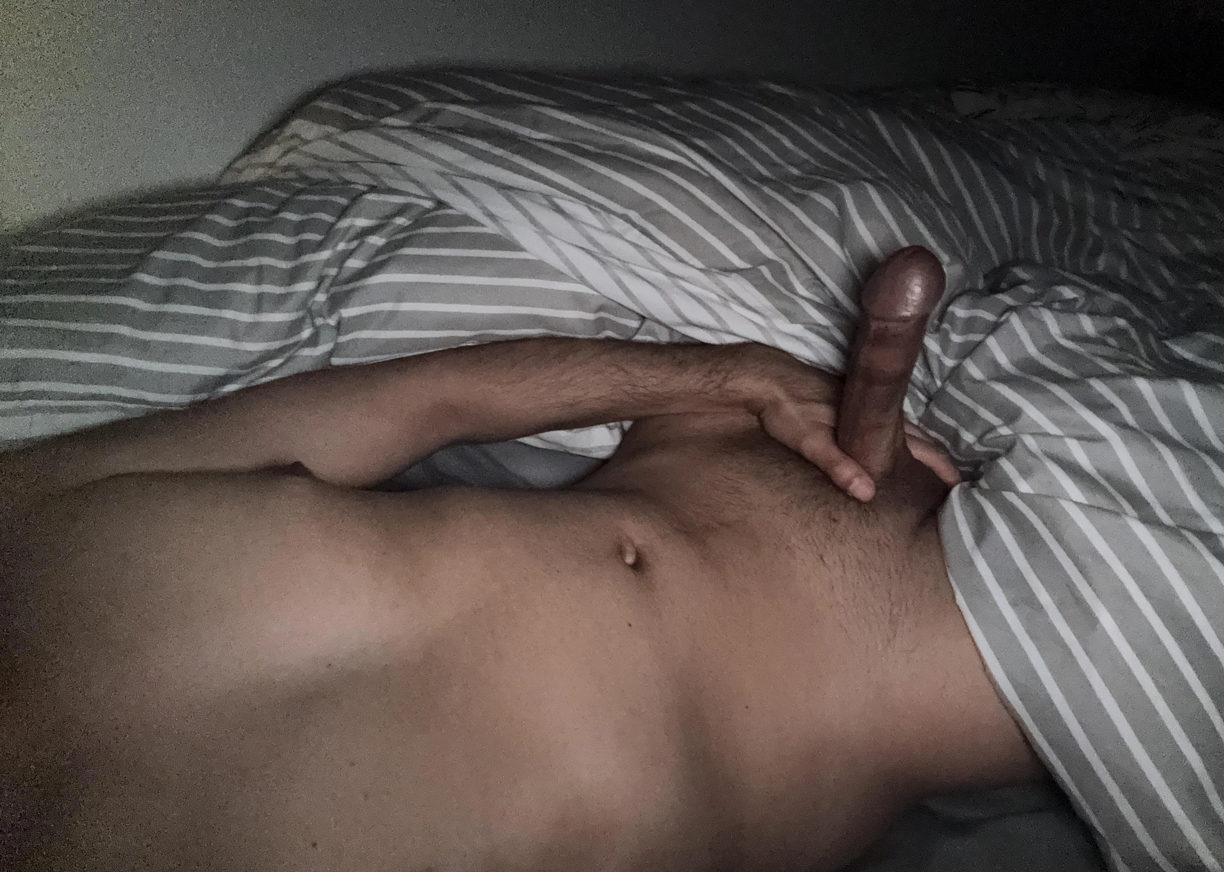 My hard rock Pakistani cock ready for you in middle of the night!