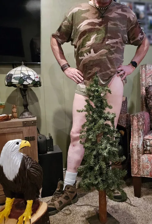 Can't see the forest, for the tree... [WPC] or, in this case... [WPT]