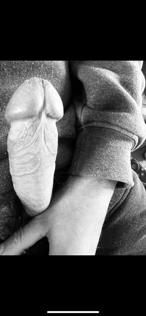 M4F looking for a peninsula playmate