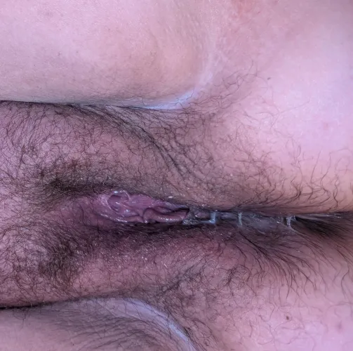 Self-lubricating abuse pig