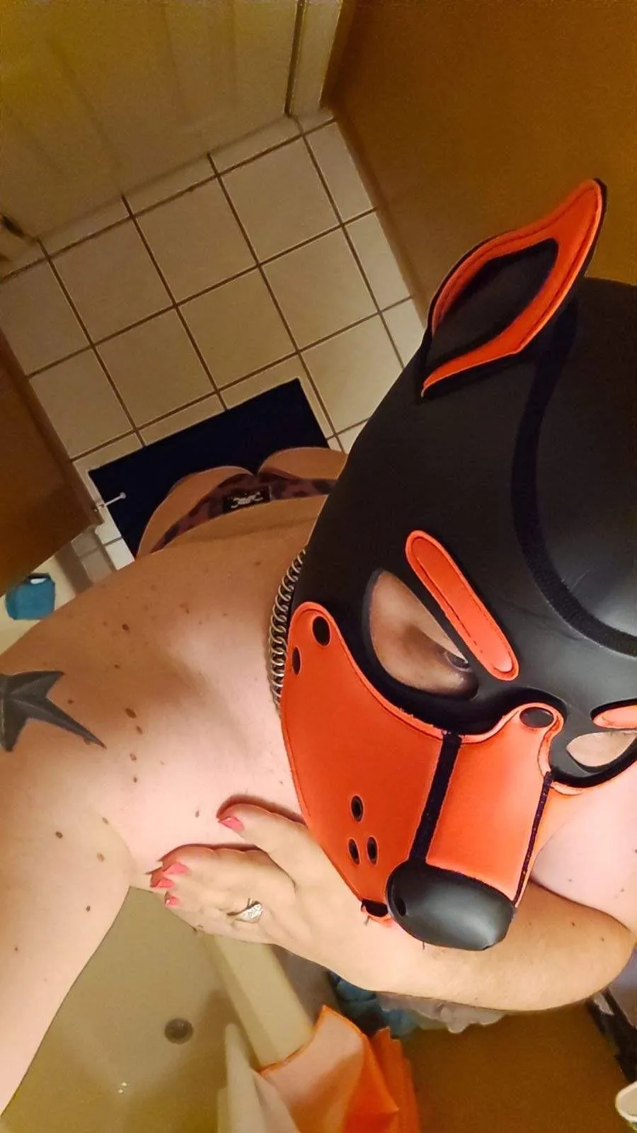 40 sub pup here. Ready to obey a younger alpha/handler