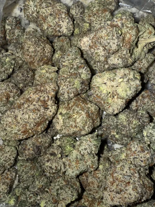 Bagz on bagz #dallas #dfw