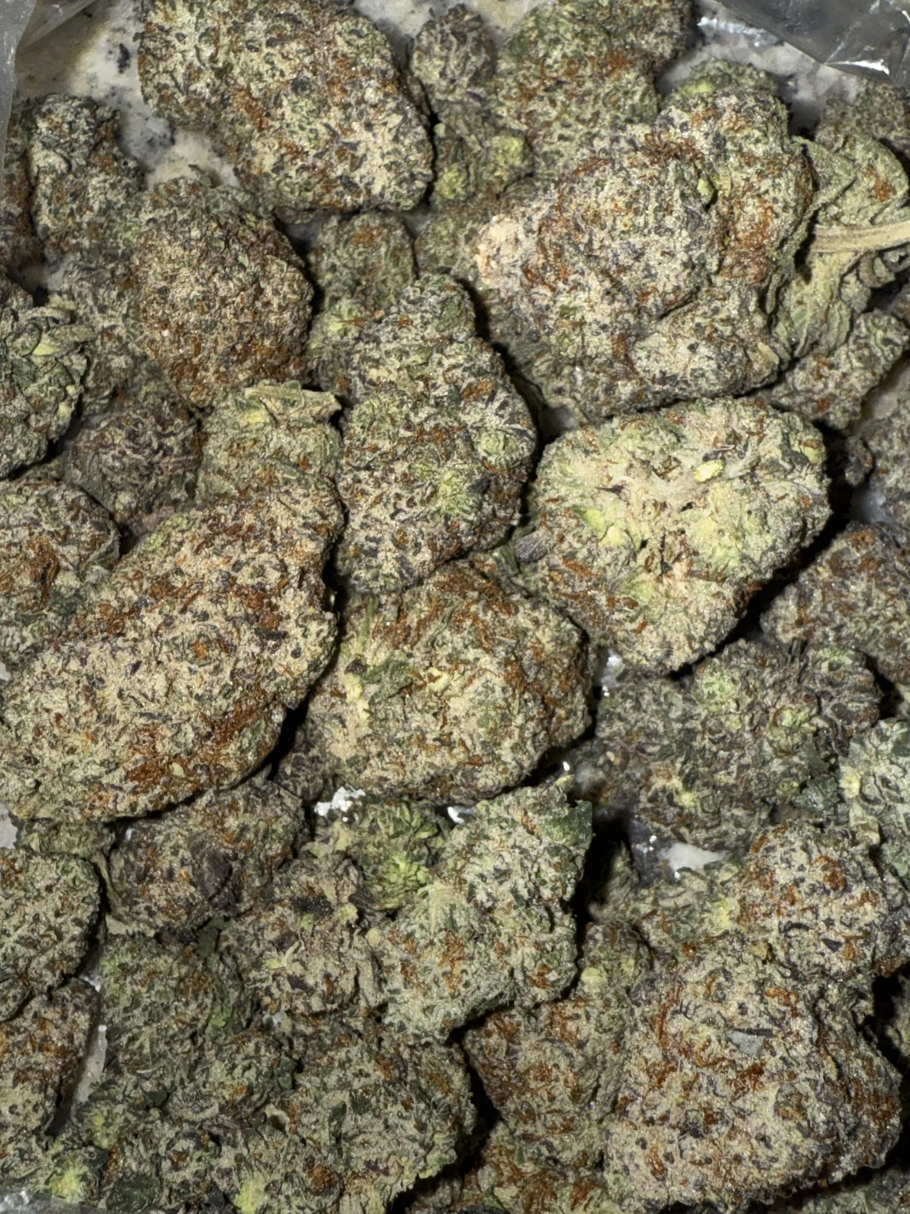 Bagz on bagz #dallas #dfw