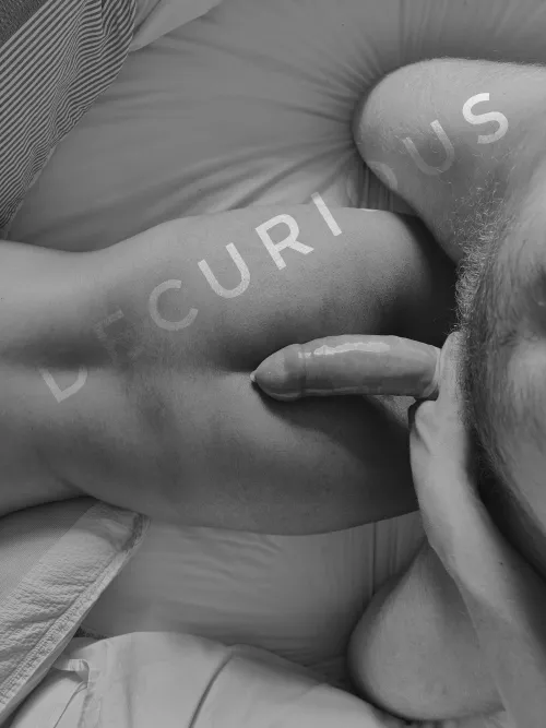 Being the perfect NRI