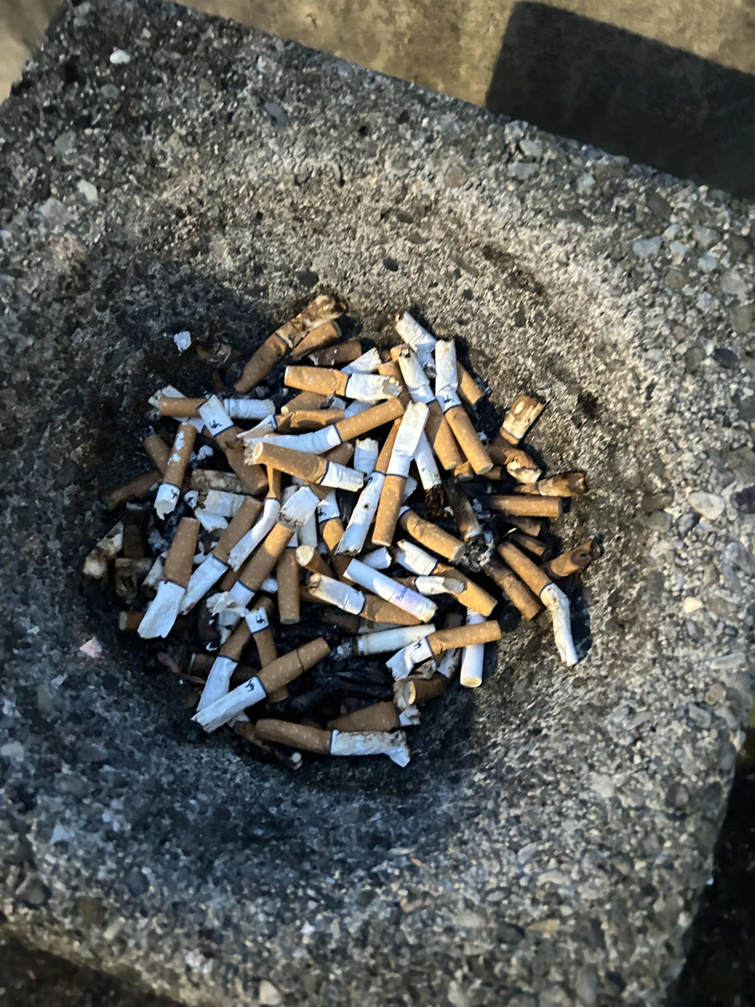 Can anyone tell me what camels this person smoked?