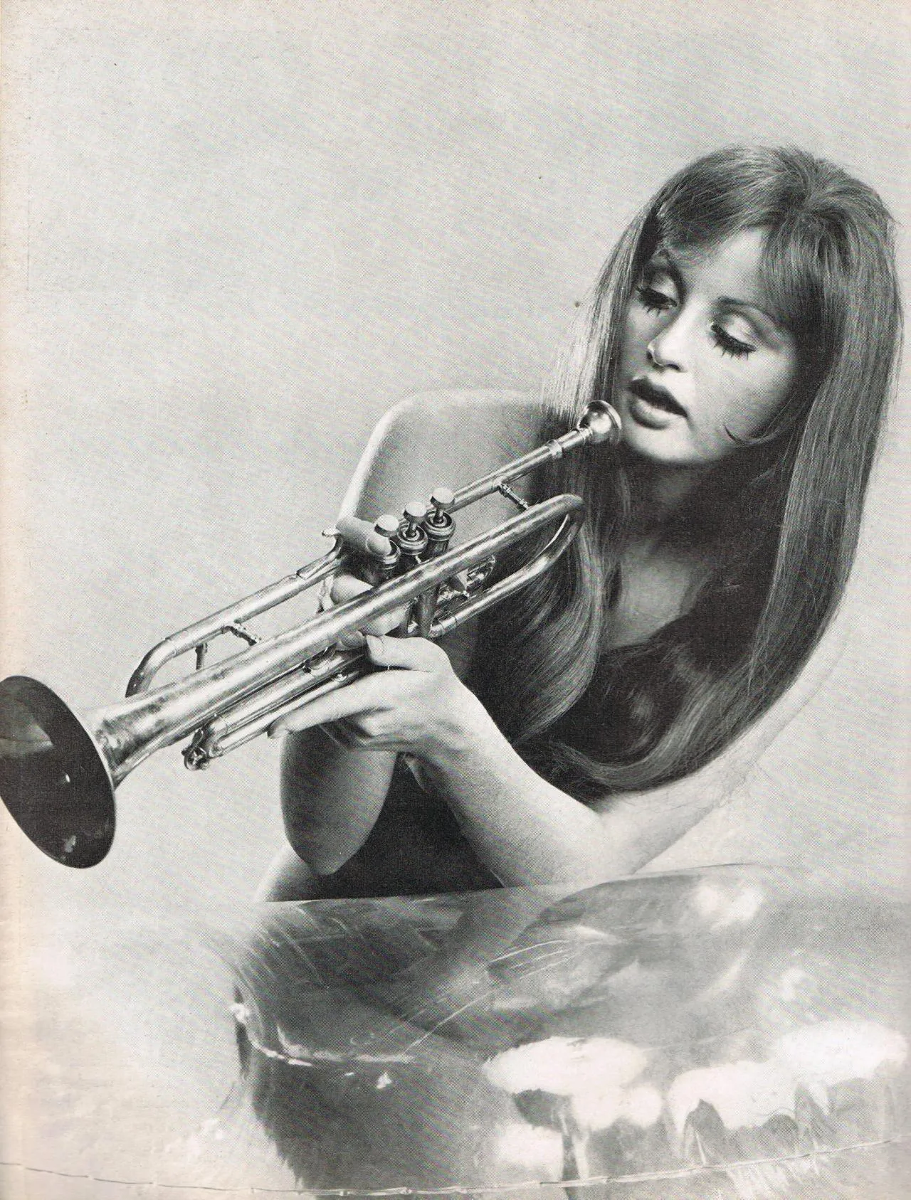 Classic beauty on a trumpet