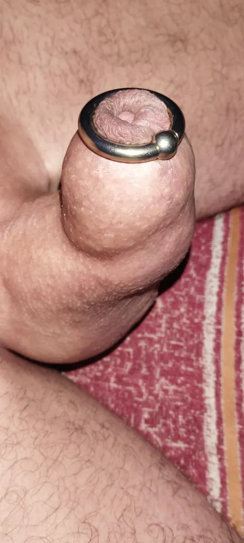 Dream of foreskin 🥹