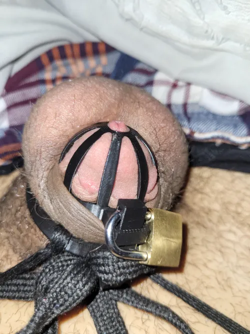 First time in chastity. Any tips? (I 3D printer my chastity cage)