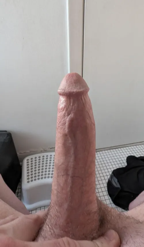Have you ever cummed on a big married cock?