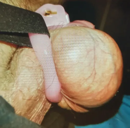 Middle of the night hardon