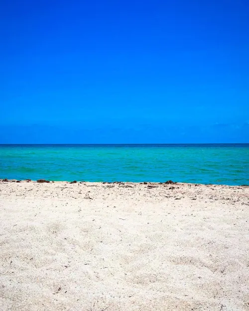 Haulover Beach. Gorgeous day!!!