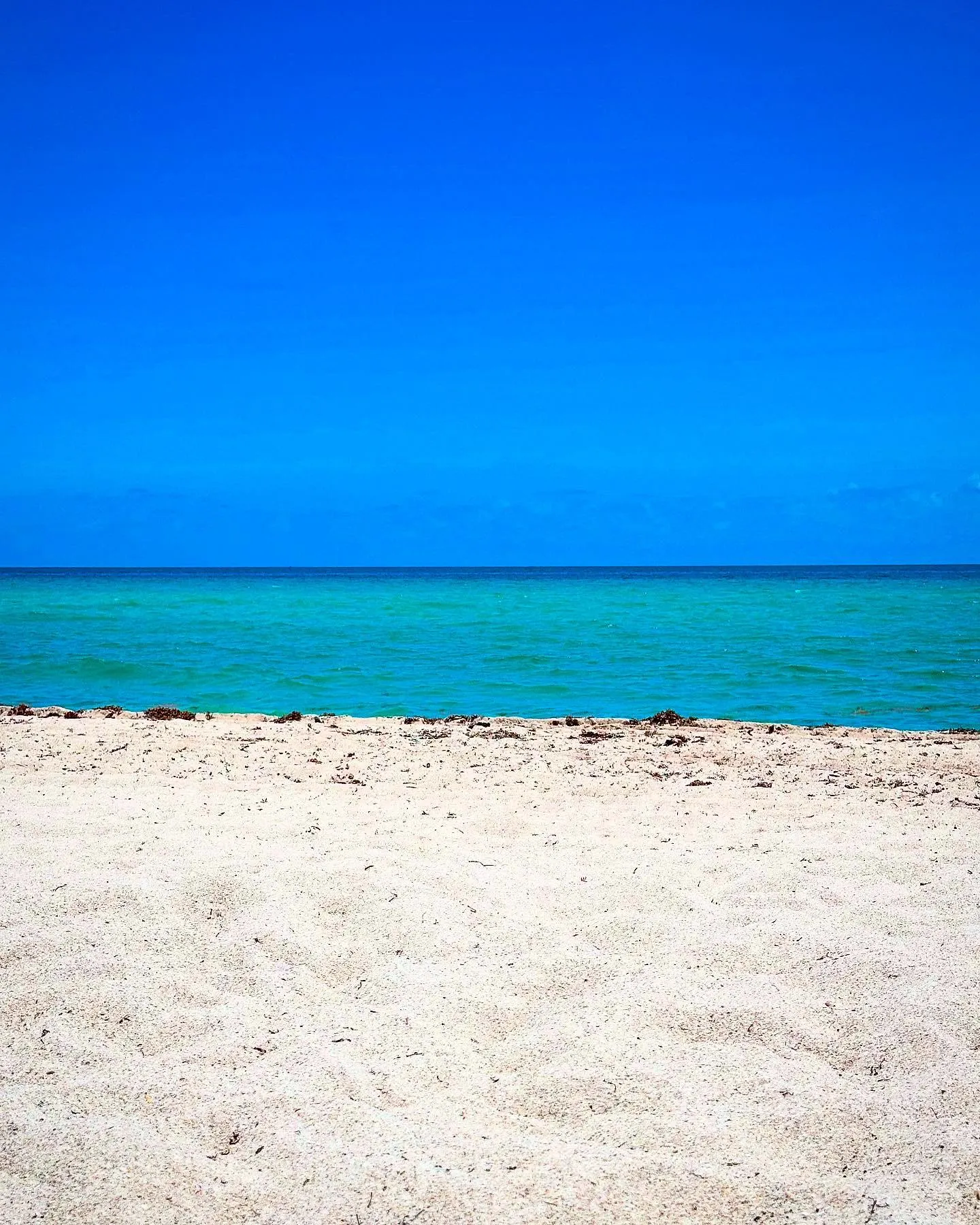 Haulover Beach. Gorgeous day!!!