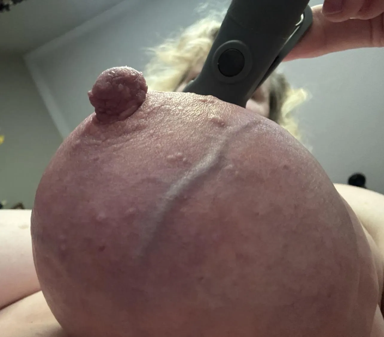 Tied and preparing to be clipped