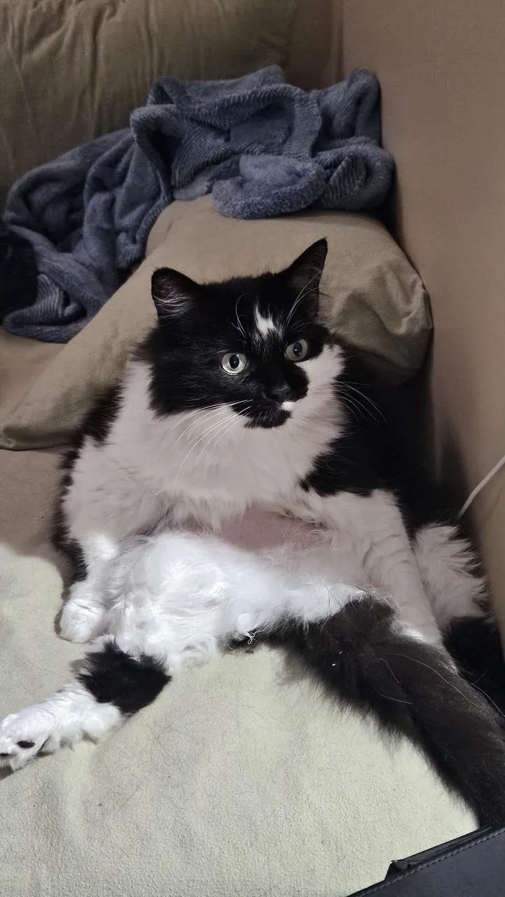 Caught her mid session [F]