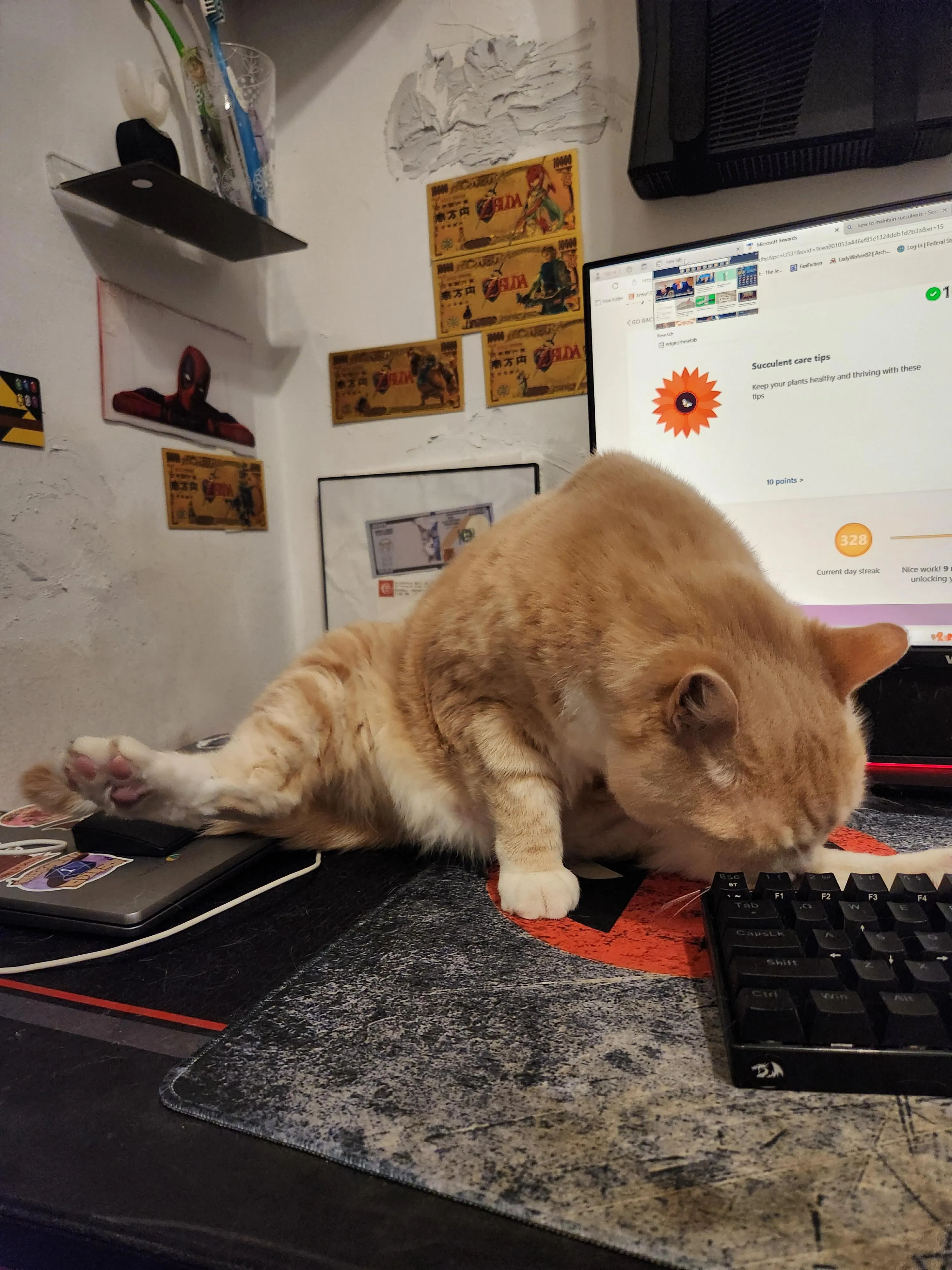 Forgot about this one of Sandy [M]