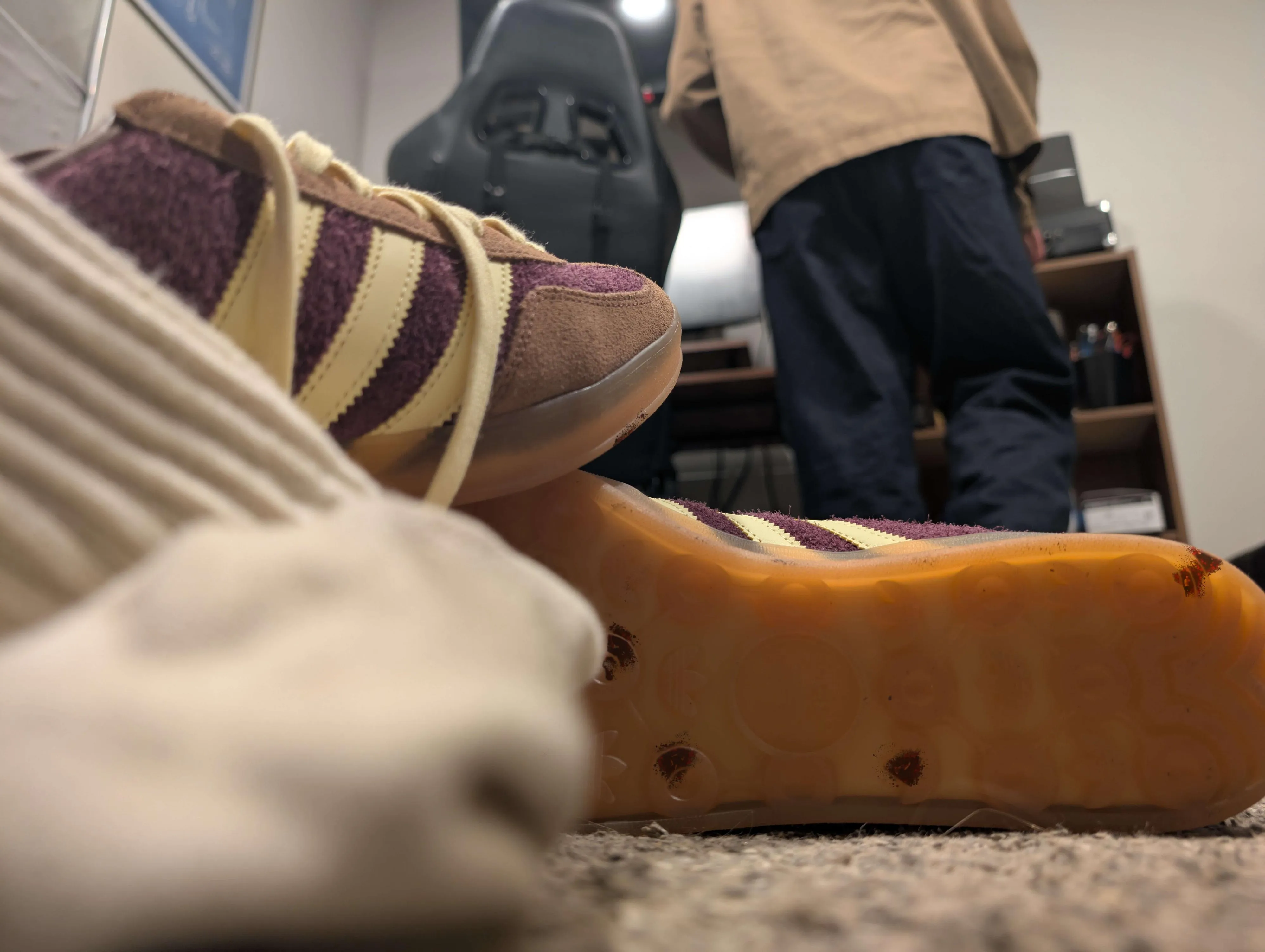 Hmm, looks like a few of you escaped the terrarium when I was gone. They couldn't have made it to far...