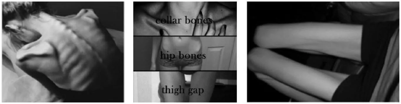 I have an extreme anorexia/bulimia kink