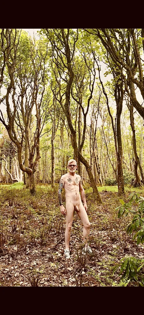 In a forrest, somewhere in Scotland