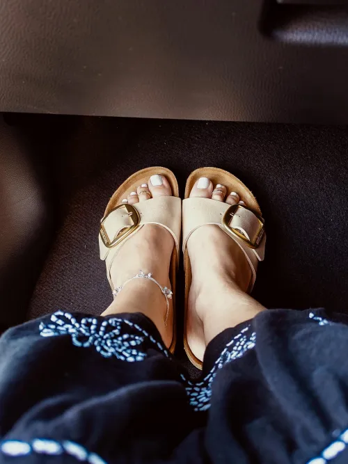 Just being a good passenger 😇