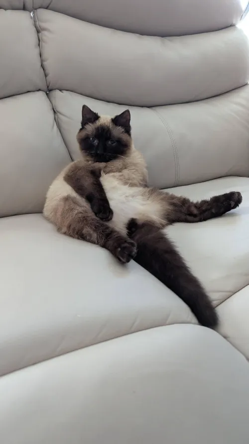 [M] Netflix and chill?