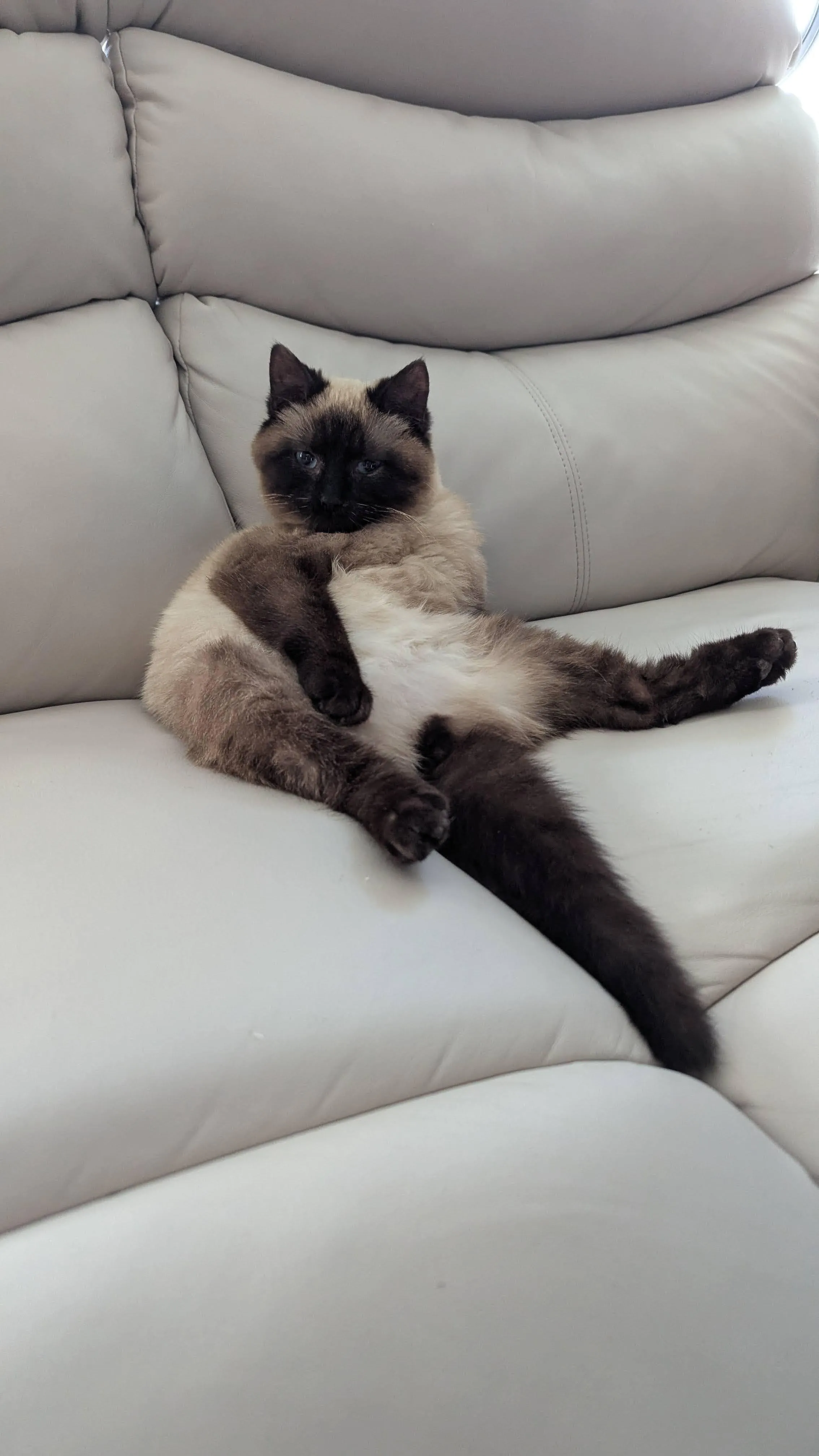 [M] Netflix and chill?