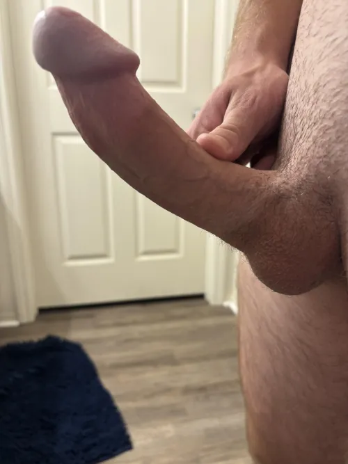 M19 [M4F] West Palm/Loxahatchee area