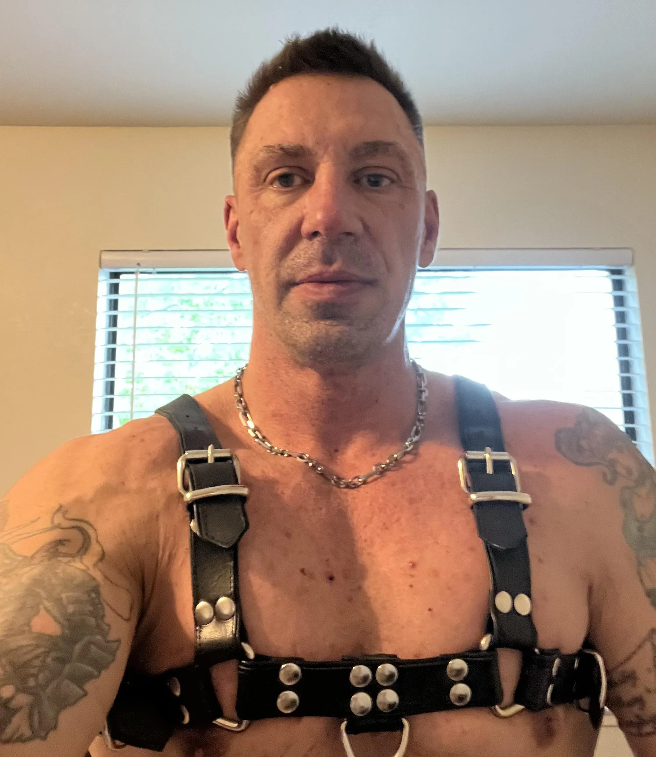 Seeing how I will look at the next gear night