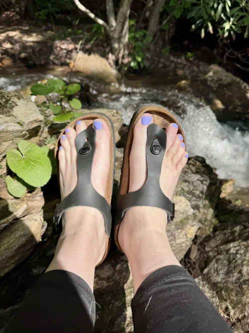 Went to the creek to take some cute birks pics for you all ☺️
