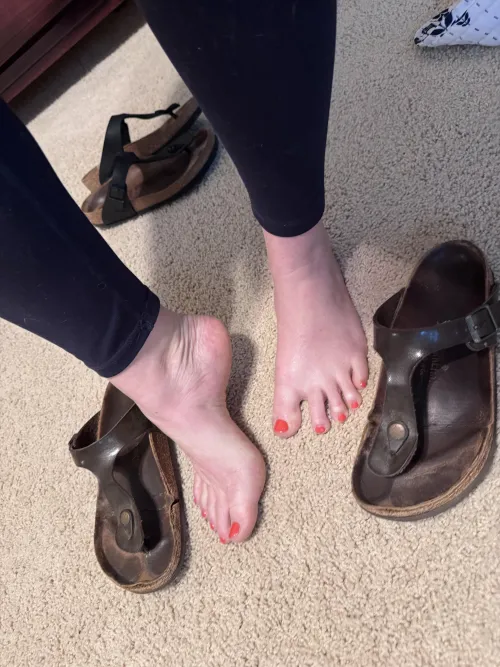 Which pair of my gizehs would you sneak off with?