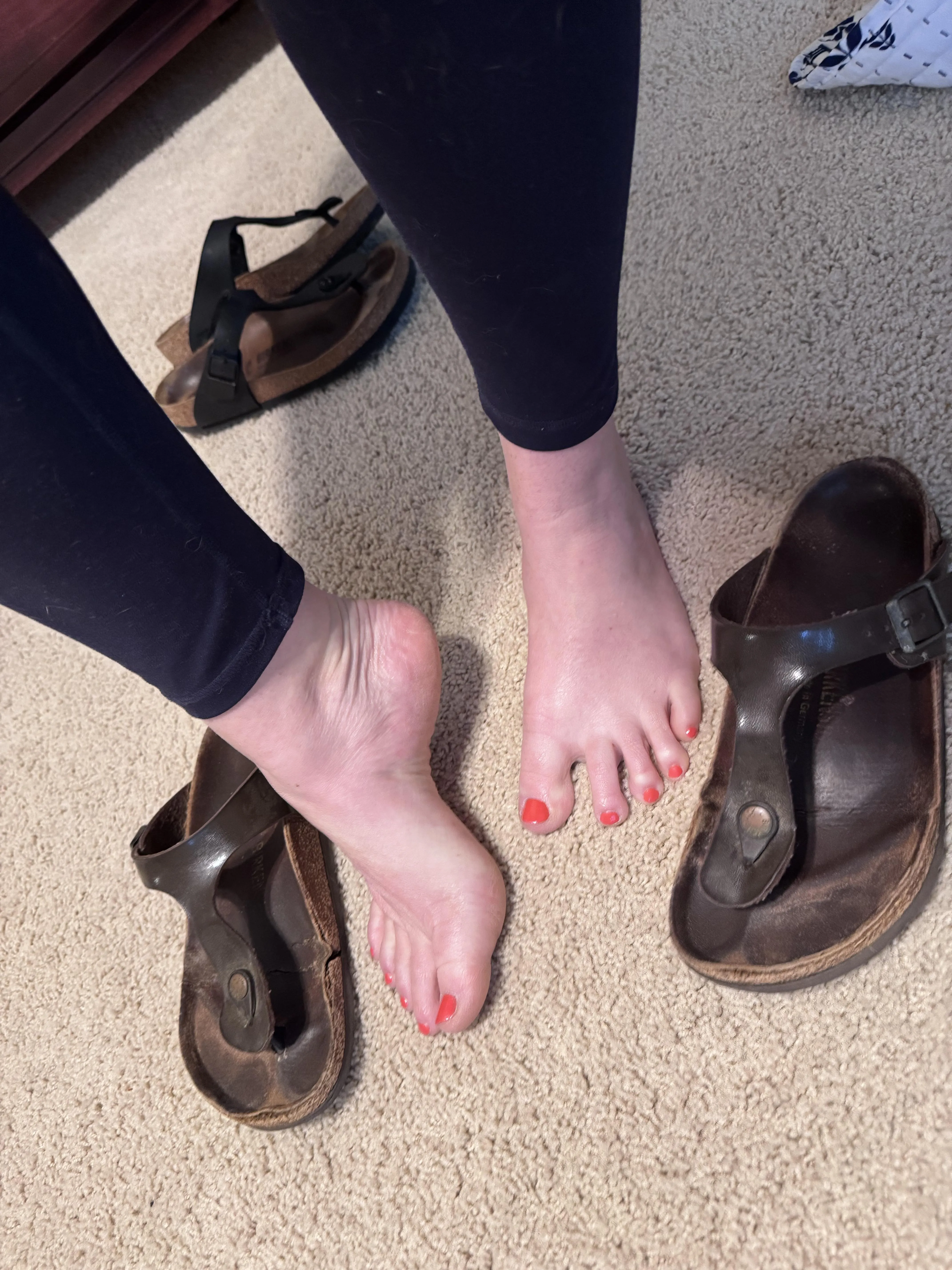 Which pair of my gizehs would you sneak off with?