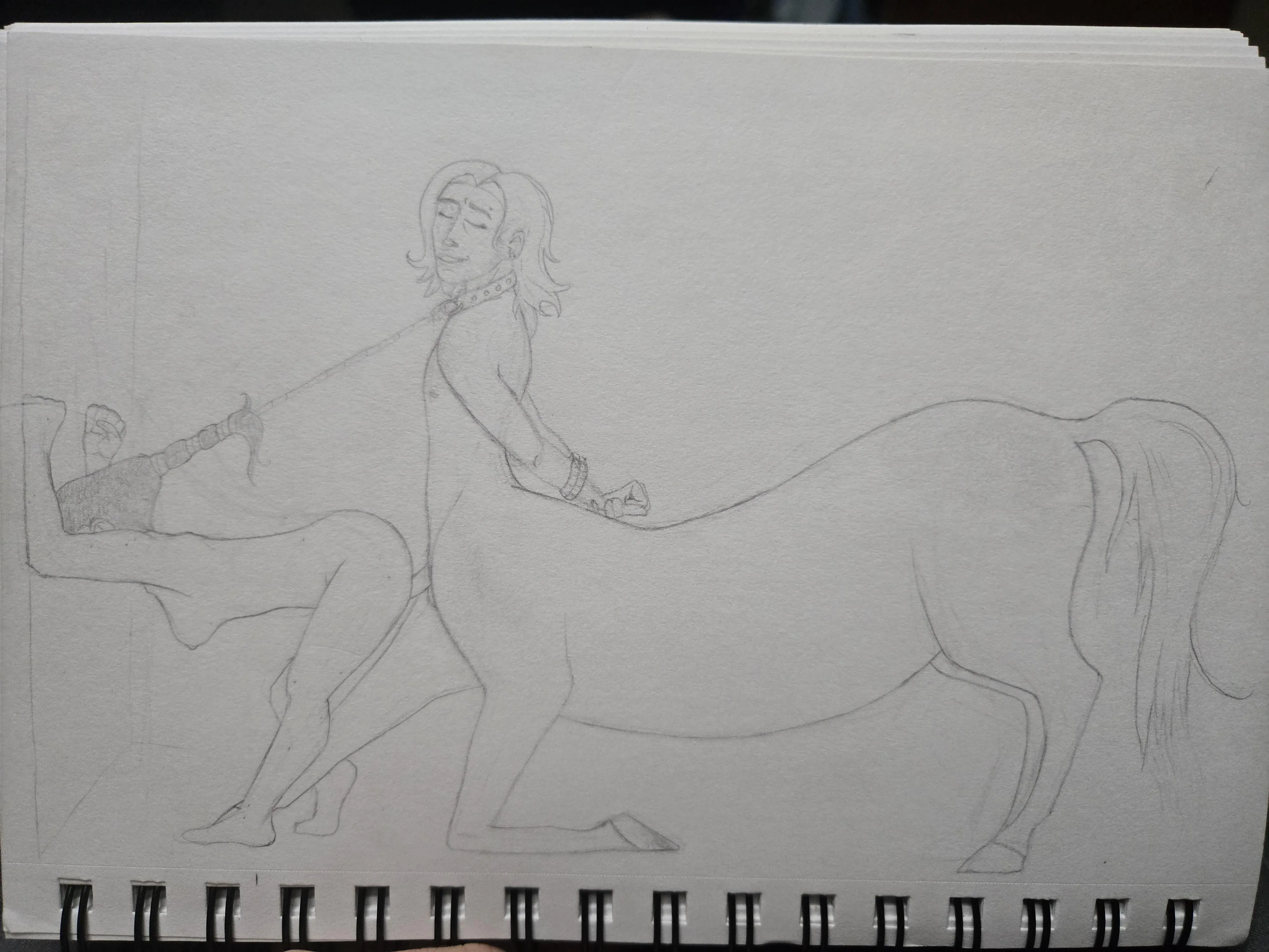 How do we feel about front genitalia on centaurs?