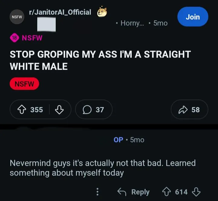 Janitor ai shenanigans