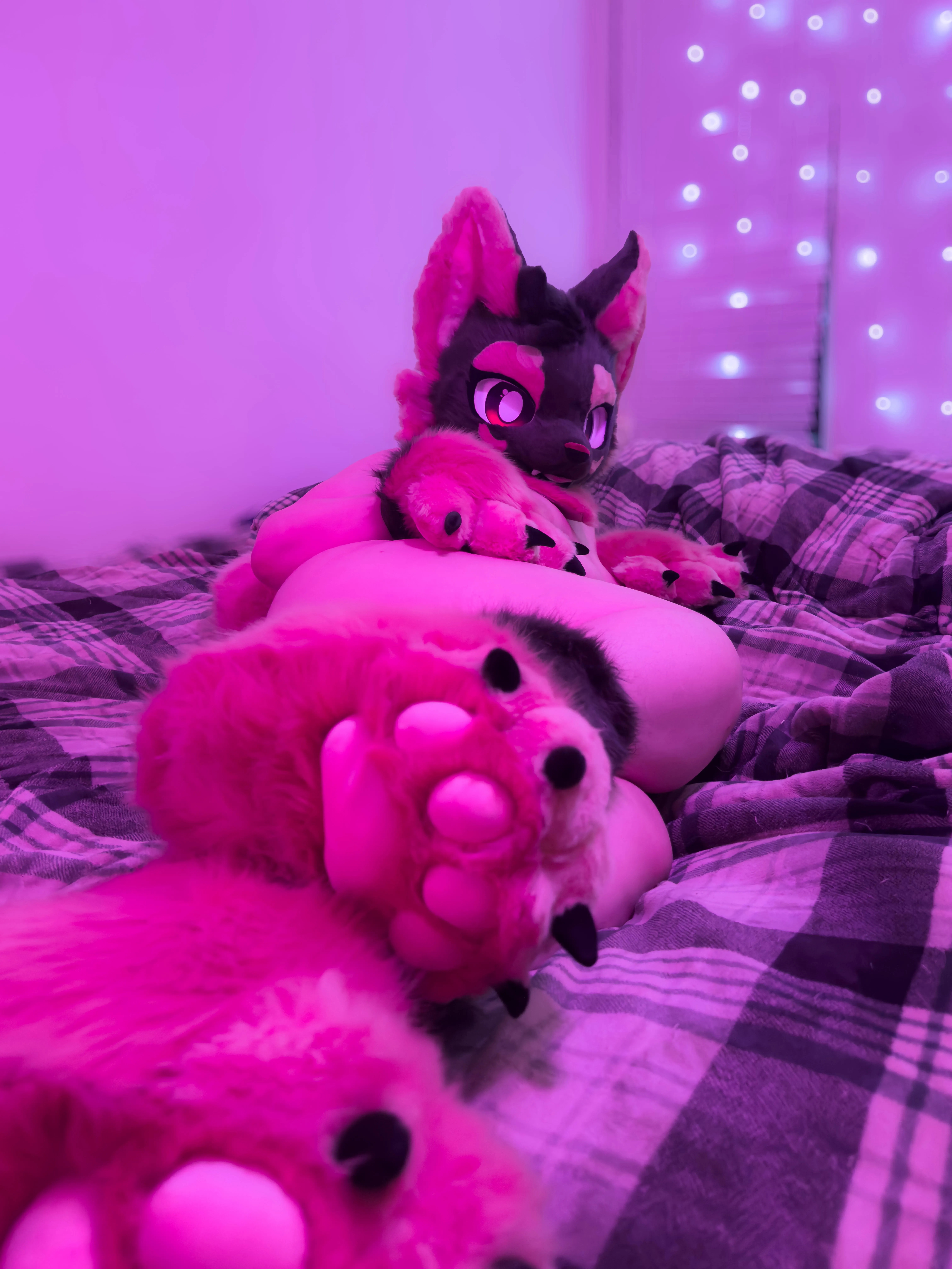 come give them a smooch 💞