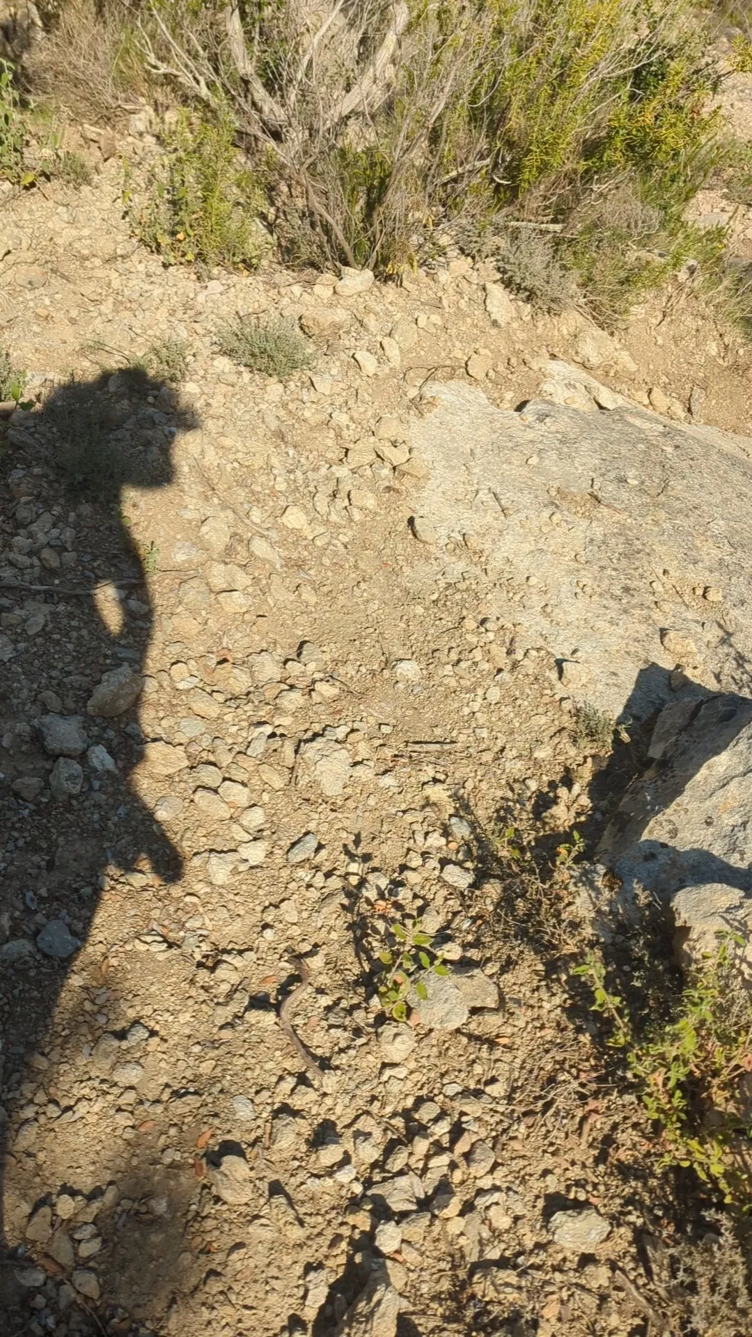 Hope you are not scared of a shadow