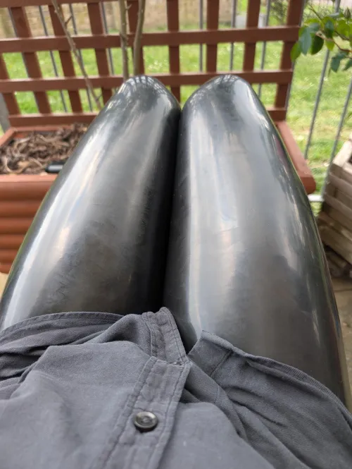 Just chilling in the garden :)