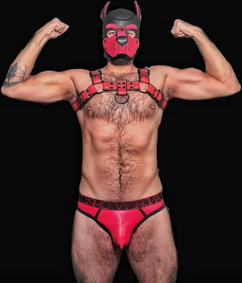 Just got my first pup mask