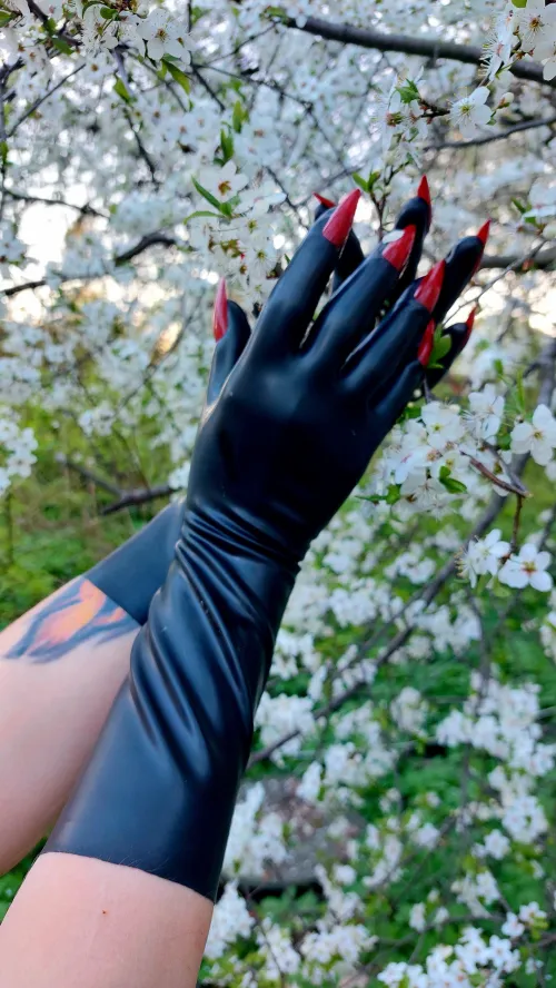 One of my favorite gloves